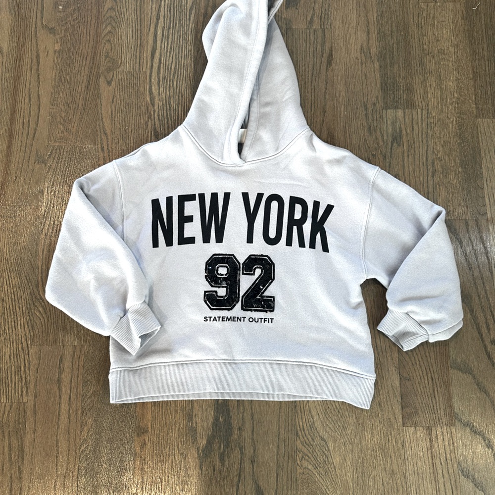 Zara- pale lilac New York crop hoody